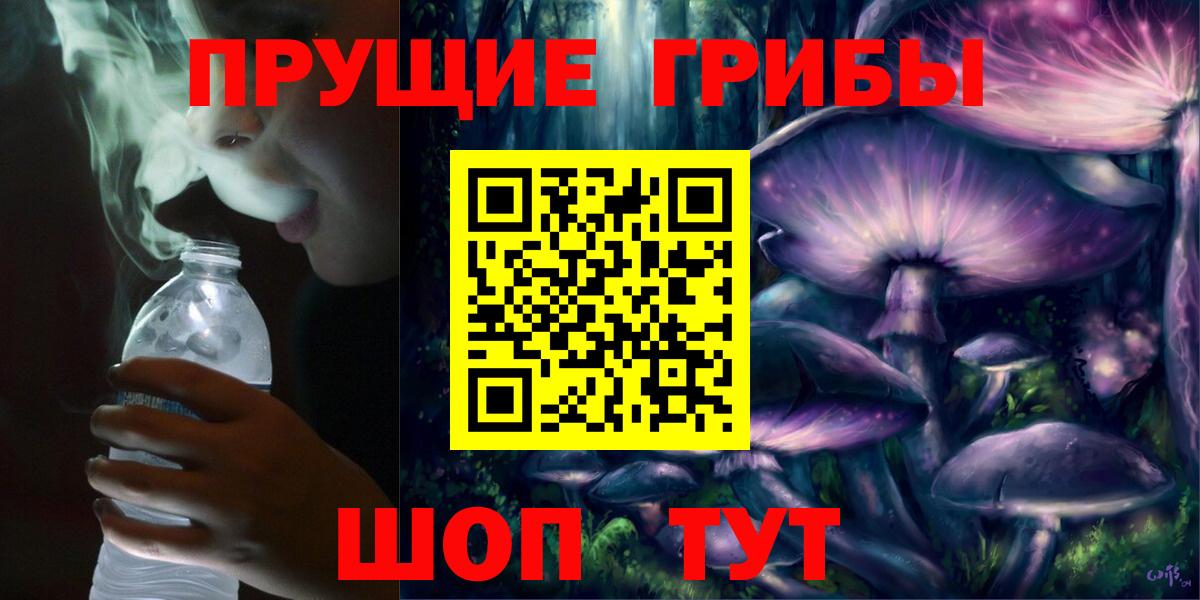 Ухта  Галлюциногенные грибы Psilocybine cubensis  Псилоцибиновые грибы прущие грибы  Вход с VPN 